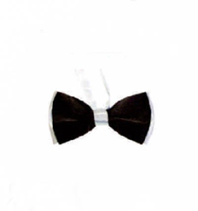 BT021 design two color matching tie for men and women bridegroom's best man evening performance collar tie manufacturer front view